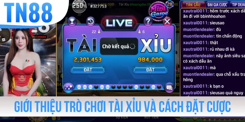 Giới thiệu trò chơi Tài Xỉu và cách đặt cược