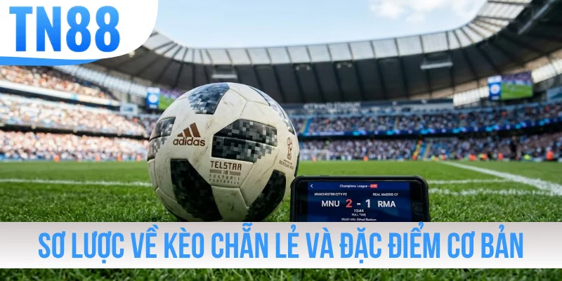 Sơ lược về kèo Chẵn Lẻ và đặc điểm cơ bản